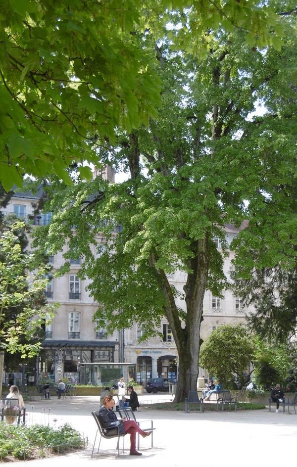 besancon square st. amour