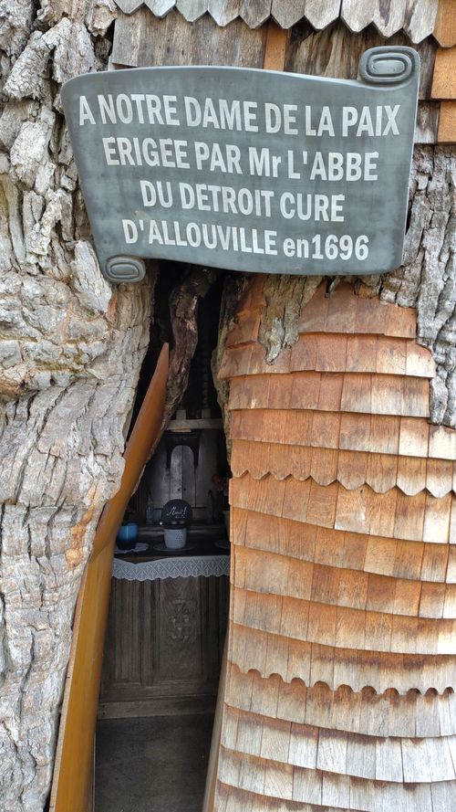 allouville bellefosse eiche