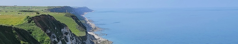 port antifer beitrag