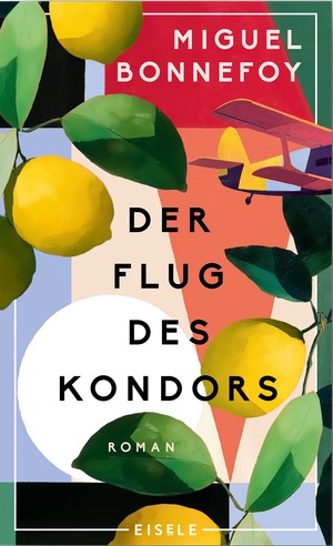 bonnefoy, der flug des kondors, eisele