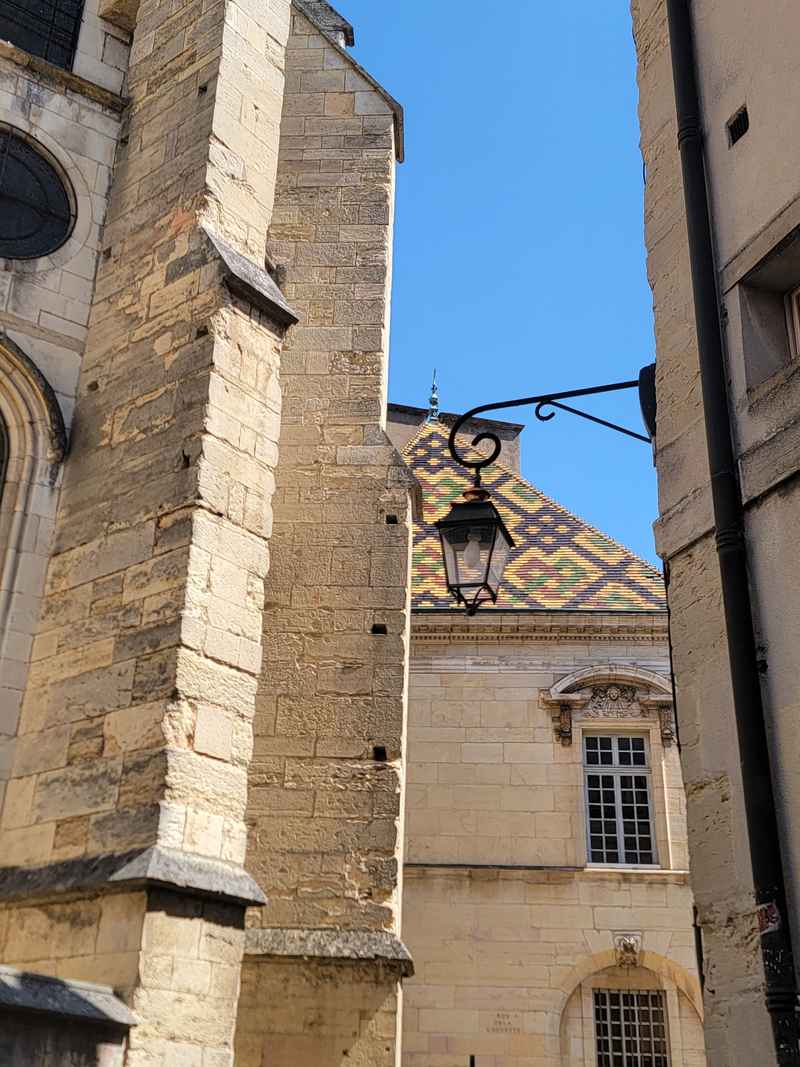 dijon notredame