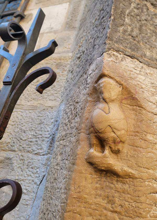 dijon chouette