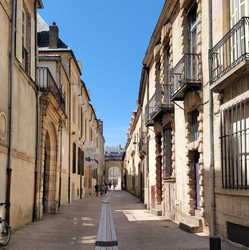 dijon rue